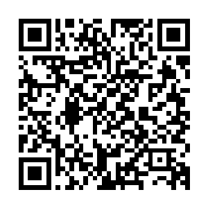楚暮不得不将基础剑术的卸力震荡圆融之法等等发挥得淋漓尽致二维码生成