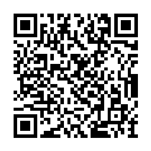 楚暮也不可能告诉她自己交易的是黑魔府的飞梭二维码生成