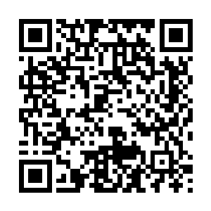 楚暮也不敢奢望能够在短短的七个多月时间内领悟出来二维码生成