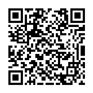 楚暮也不觉得自己可以脱离战舰在星空中生存下去二维码生成