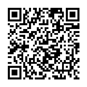 楚暮也会分出一些时间来研究九转天震心印诀的第七个手印二维码生成