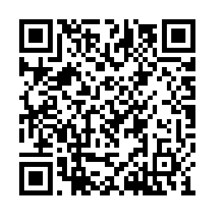 楚暮也将狂风快剑修炼到一息劈出十五剑的地步二维码生成