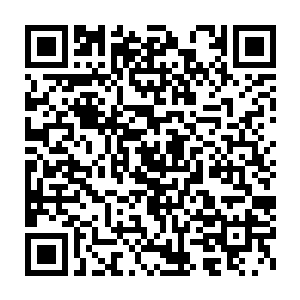 楚暮也没有多大的把握以爆发百万分之五剑道本源之力来对抗对方二维码生成