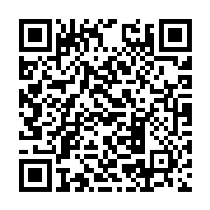 楚暮仿佛没有听到三长老蔡振业充满杀机的吼叫声二维码生成