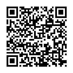 楚暮便知道这莫用已经将有价值的东西都带走了二维码生成