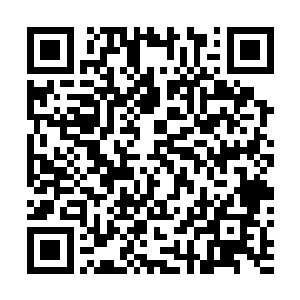 楚暮却怔怔的看着那大坑以及数十道数百米长的笔直剑痕二维码生成