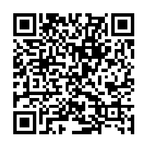 楚暮只是在风平浪静的短暂时间里闭目小睡了一会二维码生成