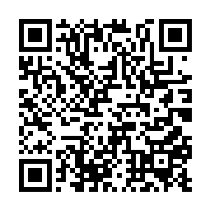 楚暮只觉得关于云之意境的种种领悟变得晦涩艰难二维码生成