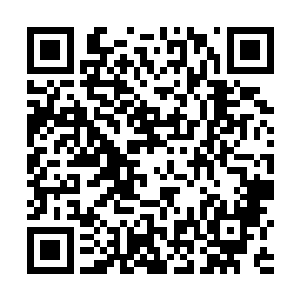 楚暮可不是真心实意的想在这里给恶龙星盗团凝练元丹二维码生成