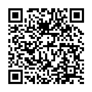 楚暮将空间戒指内那些碎钢级蛮荒巨兽的内丹卖给剑狩府二维码生成