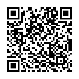 楚暮就从五行灵兽王身上学习到更高明的五行之力应用二维码生成