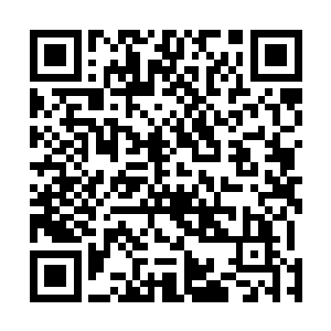 楚暮就可以感觉到其中所蕴含的丰富无比强盛无比的元力二维码生成