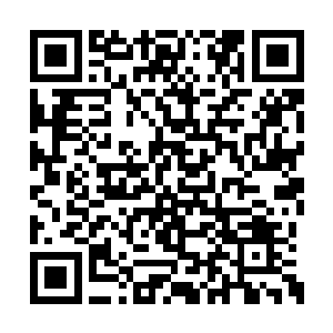 楚暮服用几颗恢复剑气的丹药之后没有着急动手二维码生成