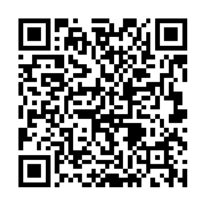 楚暮看到了十几颗起码一人多高的圆石相继滚动而来二维码生成