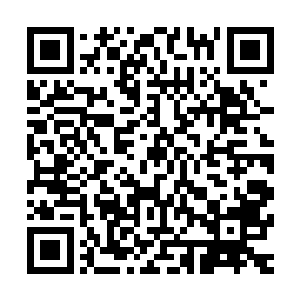 楚暮细细检查之后发现这三具尸体浑身上下的伤口都只有一个二维码生成