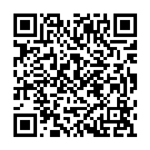 楚杰在数百米开外的一颗大树下艰难的爬了起来二维码生成