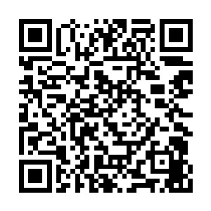 楚枫与澹台雪才回到了独孤星峰等人所在的地方二维码生成