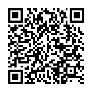 楚枫也在出口的地方看到了神情非常不自然的罗伯特二维码生成