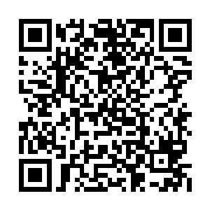 楚枫他……楚枫他竟然是一位龙纹级皇袍界灵师二维码生成