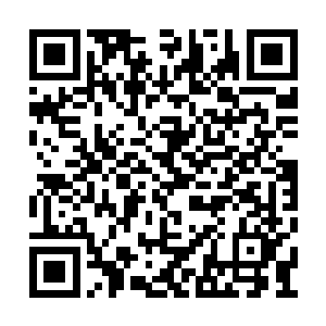 楚枫他…便成了这些来自庞然大物天才的眼中钉二维码生成