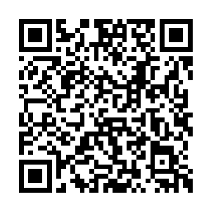 楚枫看着那仍在哭泣的秘洞群圣们说出了这句话二维码生成