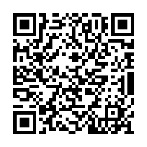 楚枫虽然并没有被那神树王座释放的气焰所击中二维码生成