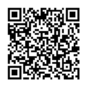 楚某可是将自己的性命和楚家满门都交到诸位手上了二维码生成