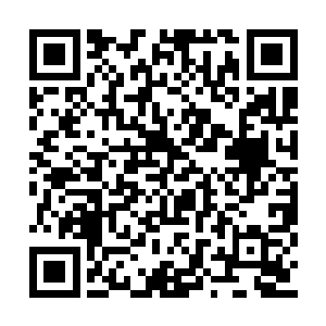 楚楚可怜又有点小生气的样子让我越发心疼喜欢二维码生成