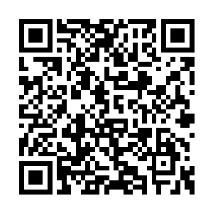 楚翔手里拿着登机的机票悲伤的看着机场的入口二维码生成