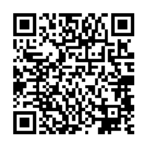 楚芊芊究竟有何中恐怖的身份竟让李琼盛这个圣境强者如此忌惮二维码生成