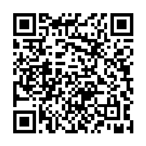 楠道友口中的那位被逼卸任的域主卸任之后有是如何的二维码生成