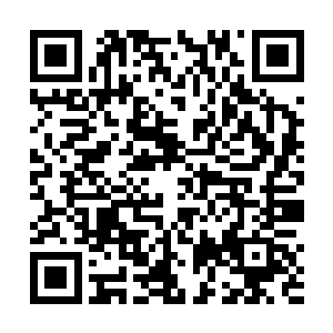 楼舒婉发动的高压与清洗在展五率领的竹记力量配合下二维码生成