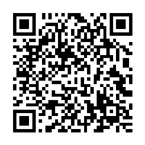 楼阁内的毛利家康以及其麾下一众文武家臣不由都是神色大变二维码生成