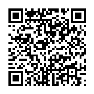 概念就已经成为了参会大佬们跟下属交流的核心词二维码生成