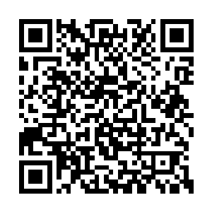 樊家设计谋夺姜家财产的事情肯定是逃脱不了的二维码生成
