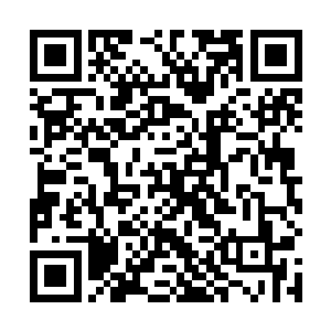 樊重等人在表面上都将主力摆在了围捕方百花的事情上二维码生成