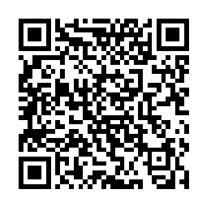 樊青雨的外形条件介于第二眼美女和第三眼美女之间二维码生成