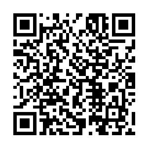 樊青雨看到了好多二十多岁甚至十多岁的少女做完检查二维码生成