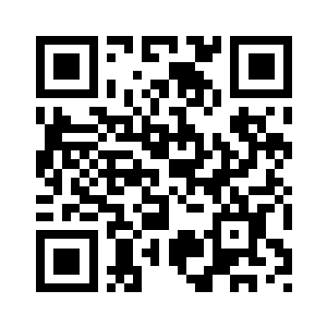 模拟混洞以针孔大小凸显二维码生成