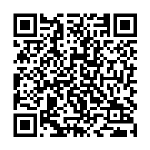 横七竖八地躺倒了十几名同样西装革履的保镖类人员二维码生成