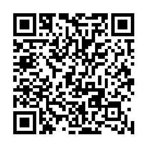 樱井三良玩了一辈子的斗蟹也只有得到过一只奥斯丁战斗蟹二维码生成