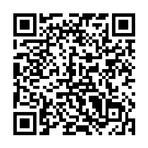 樱子的影分身举起拳头就向着叶秋的影分身打了过去二维码生成