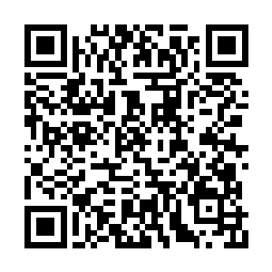 樱子的影分身发动攻击利用长鞭远程作战的优势二维码生成