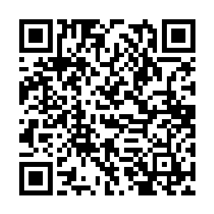 樱花杀手经过这么长时间的准备终于又找上自己了二维码生成