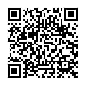 樱花派出了以三井宪为首的杀手组再次执行刺杀赵长枪的任务二维码生成