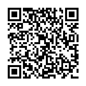 樱花组织仍旧不断地通过各种方式往华夏渗透他们的人员二维码生成