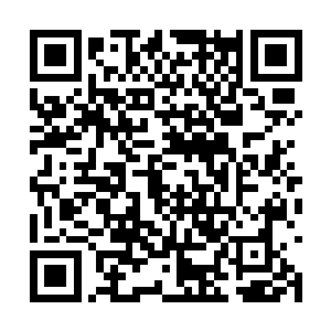 樱花色的唇瓣不经意的勾画出难以捕捉的弧度……二维码生成