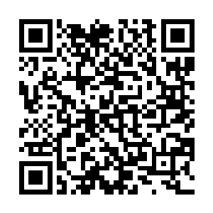 橙色的爵士帽上用别针固定住的那朵黑色玫瑰格外显眼二维码生成
