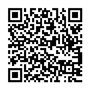 橱窗模特般坐在那里等别人的视线和话题自动朝自己身上聚拢二维码生成