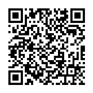 欠条上写的都是做声音资金周转不灵借到多少多少钱二维码生成